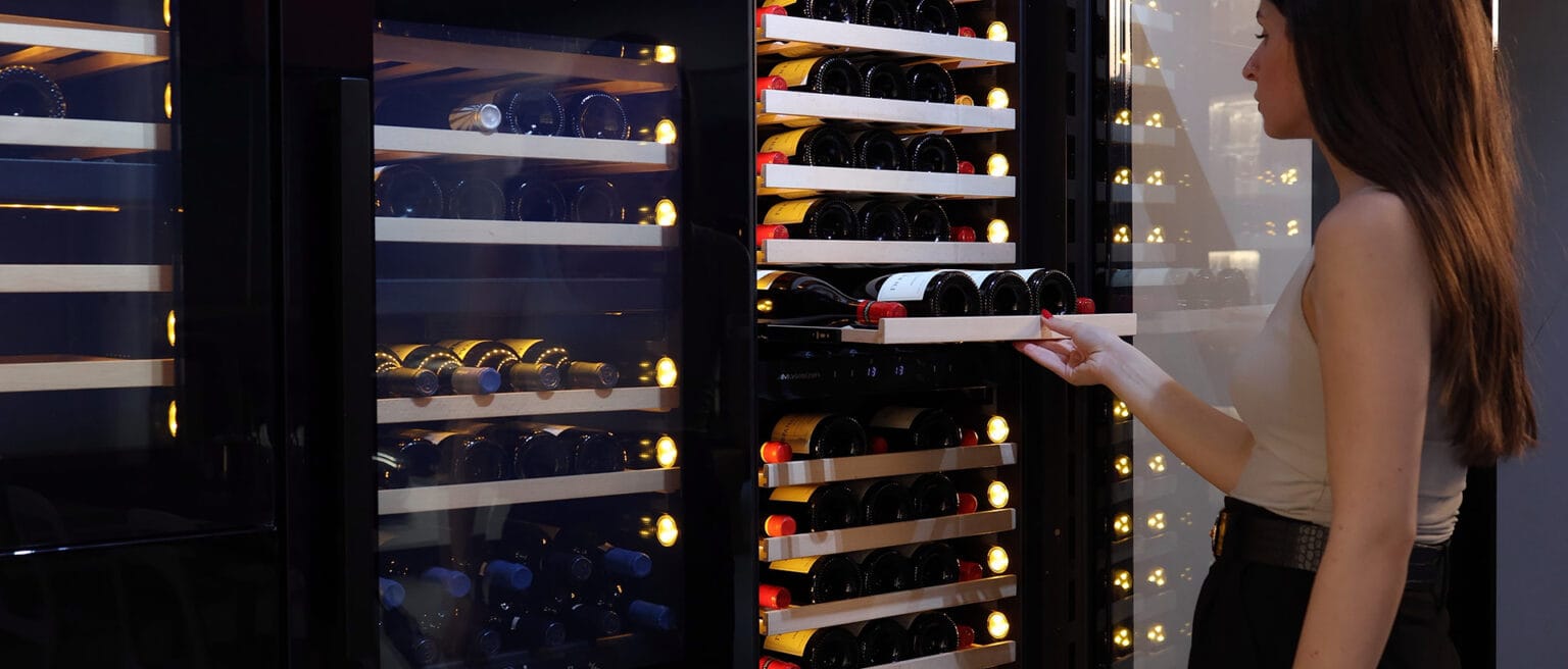 img 8342.mp4 snapshot 00.11 [2024.11.01 14.242